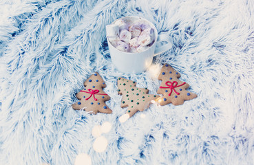 Cups of hot chocolate with murshmallows