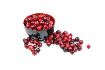 Small Red Cranberry