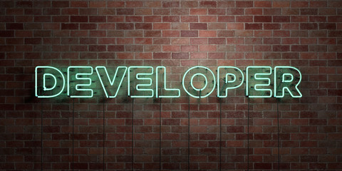 DEVELOPER - fluorescent Neon tube Sign on brickwork - Front view - 3D rendered royalty free stock picture. Can be used for online banner ads and direct mailers..