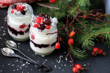 homemade yogurt with berries