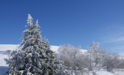 Winterlandschaft
