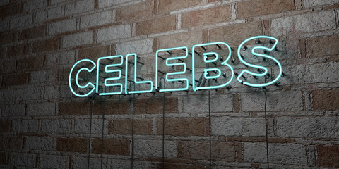 CELEBS - Glowing Neon Sign on stonework wall - 3D rendered royalty free stock illustration.  Can be used for online banner ads and direct mailers..