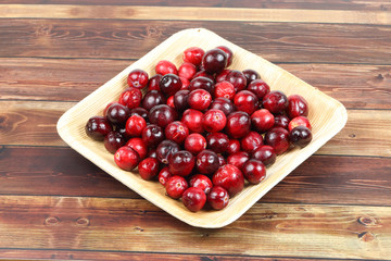 Small Red Cranberry