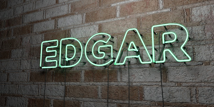 EDGAR - Glowing Neon Sign on stonework wall - 3D rendered royalty free stock illustration.  Can be used for online banner ads and direct mailers..