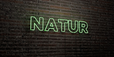 NATUR -Realistic Neon Sign on Brick Wall background - 3D rendered royalty free stock image. Can be used for online banner ads and direct mailers..