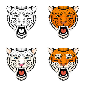 line illustration of a roaring tiger head