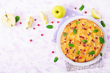 Appetizing pie with apples and cranberries on a light background. Top view. Flat lay