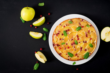 Appetizing pie with apples and cranberries on a black background. Top view. Flat lay