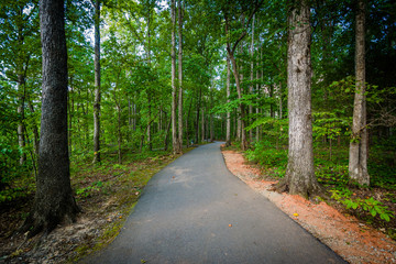 Fototapeta na wymiar Trail at Jetton Park, in Cornelius, North Carolina.