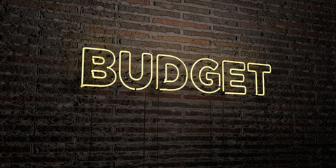 BUDGET -Realistic Neon Sign on Brick Wall background - 3D rendered royalty free stock image. Can be used for online banner ads and direct mailers..