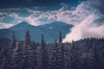 Winter Landscape in mountains. Dramatic sky. View of snow-covered forest. Retro style.