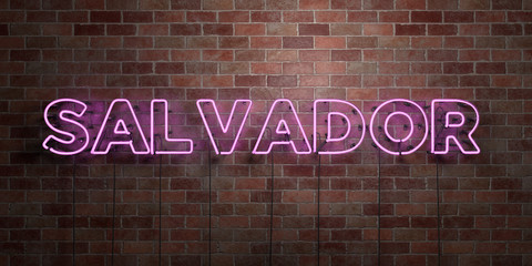 SALVADOR - fluorescent Neon tube Sign on brickwork - Front view - 3D rendered royalty free stock picture. Can be used for online banner ads and direct mailers..