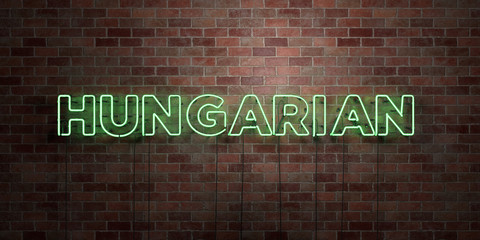 HUNGARIAN - fluorescent Neon tube Sign on brickwork - Front view - 3D rendered royalty free stock picture. Can be used for online banner ads and direct mailers..