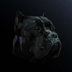 Cane Corso dog animal low poly design. Triangle vector illustration.