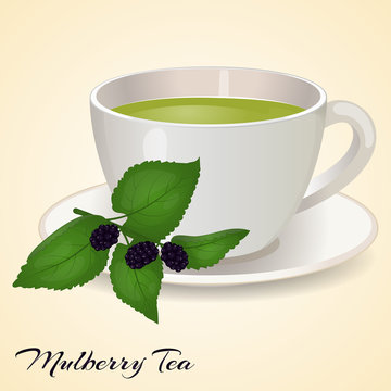 Cup of tea with Mullberry and leaves isolated on orange background. Mullberry Tea. Vector illustration.
