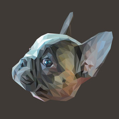 French bulldog animal low poly design. Triangle vector illustration.