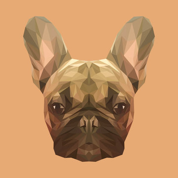 French bulldog animal low poly design. Triangle vector illustration.