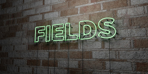 Fototapeta na wymiar FIELDS - Glowing Neon Sign on stonework wall - 3D rendered royalty free stock illustration. Can be used for online banner ads and direct mailers..