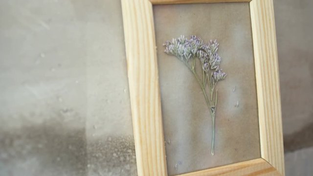 lemon leaves in picture frame on wall