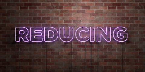 REDUCING - fluorescent Neon tube Sign on brickwork - Front view - 3D rendered royalty free stock picture. Can be used for online banner ads and direct mailers..