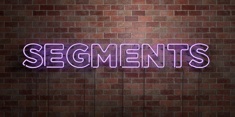 SEGMENTS - fluorescent Neon tube Sign on brickwork - Front view - 3D rendered royalty free stock picture. Can be used for online banner ads and direct mailers..