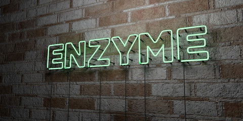 Fototapeta na wymiar ENZYME - Glowing Neon Sign on stonework wall - 3D rendered royalty free stock illustration. Can be used for online banner ads and direct mailers..