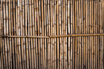 bamboo fence for background