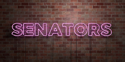 SENATORS - fluorescent Neon tube Sign on brickwork - Front view - 3D rendered royalty free stock picture. Can be used for online banner ads and direct mailers..
