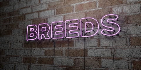 BREEDS - Glowing Neon Sign on stonework wall - 3D rendered royalty free stock illustration.  Can be used for online banner ads and direct mailers..