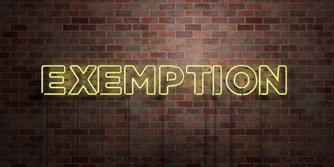 EXEMPTION - fluorescent Neon tube Sign on brickwork - Front view - 3D rendered royalty free stock picture. Can be used for online banner ads and direct mailers..