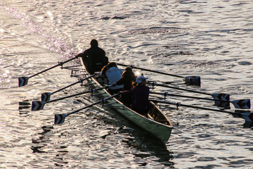 Naklejka premium Rudergemeinschaft im Gegenlicht