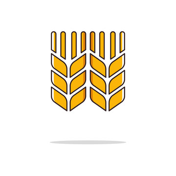 Wheat color thin line icon.Vector illustration