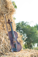 violin resting on straw Division in the fields, the warm sun of