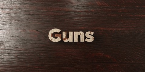Guns - grungy wooden headline on Maple  - 3D rendered royalty free stock image. This image can be used for an online website banner ad or a print postcard.