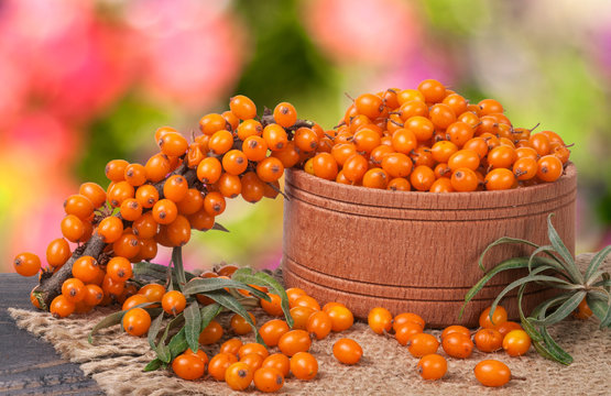 Sea-buckthorn berries in a wooden bowl on table with blurred garden background
