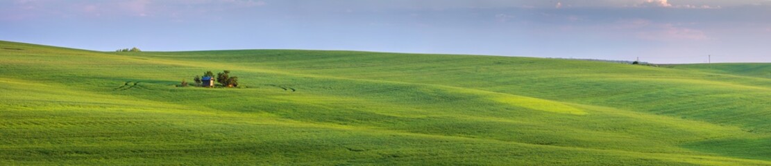 Fototapeta na wymiar panorama of green fields and little farm house