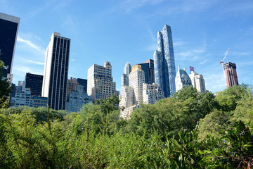 Fototapeta na wymiar Midtown Manhattan/ Where architecture meets nature in a megalopolis 