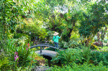 gardener woman  holds the sprinkler hose for plants watering the flowers garden outdoor