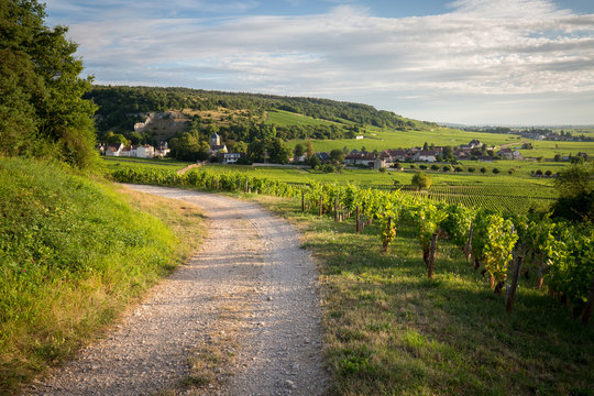 Vignoble En Bourgogne