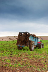 Obraz premium épandre le fumier