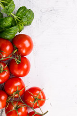 Fresh tomatoes and basil leaves on white background