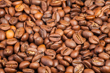 Many macro coffe beans on background.