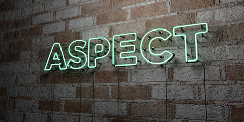 ASPECT - Glowing Neon Sign on stonework wall - 3D rendered royalty free stock illustration.  Can be used for online banner ads and direct mailers..