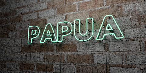 PAPUA - Glowing Neon Sign on stonework wall - 3D rendered royalty free stock illustration.  Can be used for online banner ads and direct mailers..