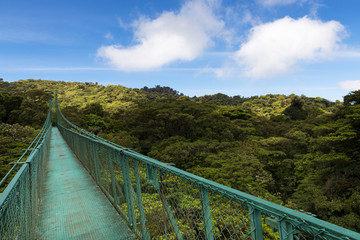 Obraz premium Suspended bridge over the canopy of the trees in Monteverde, Costa Rica, Central America