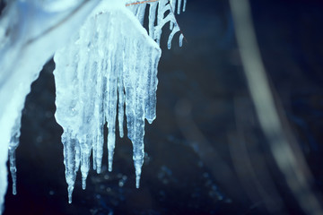 winter background with icicles and empty space