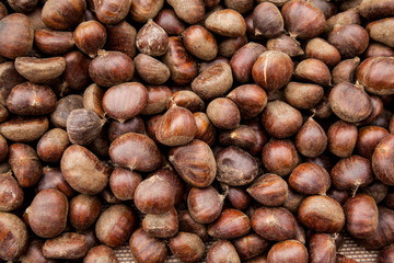 chestnut