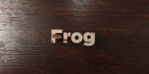 Frog - grungy wooden headline on Maple  - 3D rendered royalty free stock image. This image can be used for an online website banner ad or a print postcard.