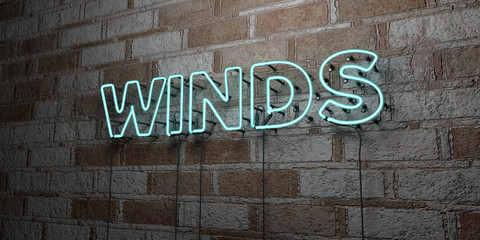 WINDS - Glowing Neon Sign on stonework wall - 3D rendered royalty free stock illustration.  Can be used for online banner ads and direct mailers..