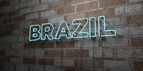 BRAZIL - Glowing Neon Sign on stonework wall - 3D rendered royalty free stock illustration.  Can be used for online banner ads and direct mailers..